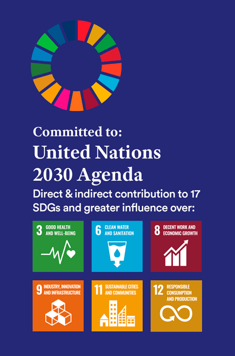 ODS Agenda 2030 de Naciones Unidas